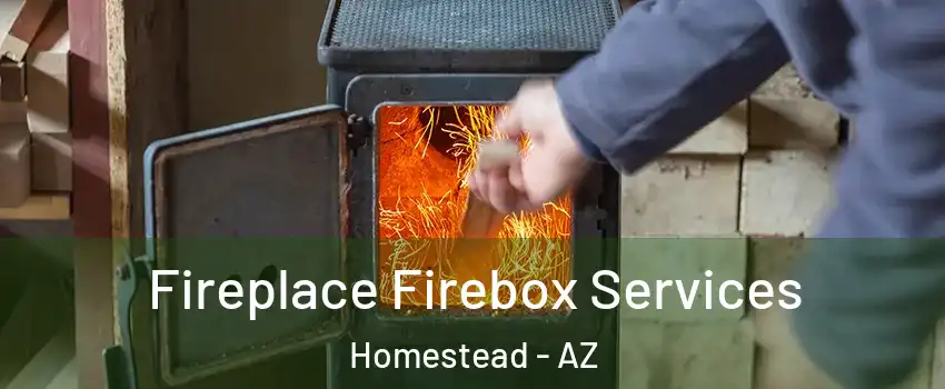 Fireplace Firebox Services Homestead - AZ