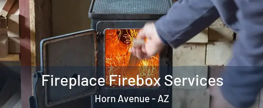 Fireplace Firebox Services Horn Avenue - AZ