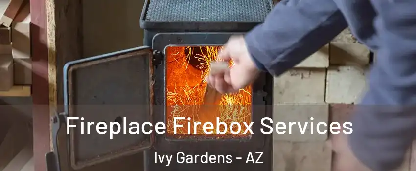 Fireplace Firebox Services Ivy Gardens - AZ