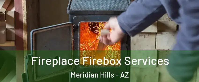 Fireplace Firebox Services Meridian Hills - AZ