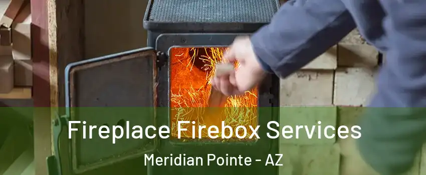 Fireplace Firebox Services Meridian Pointe - AZ