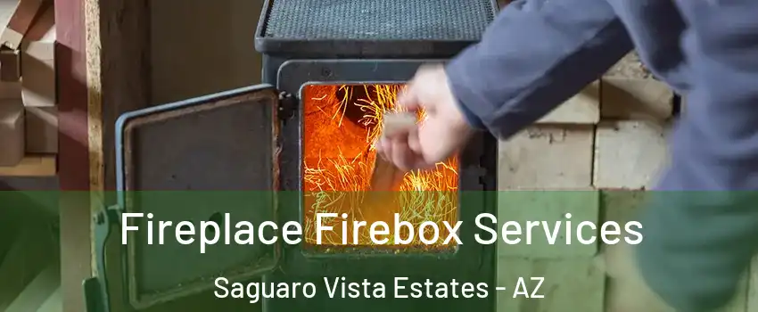 Fireplace Firebox Services Saguaro Vista Estates - AZ