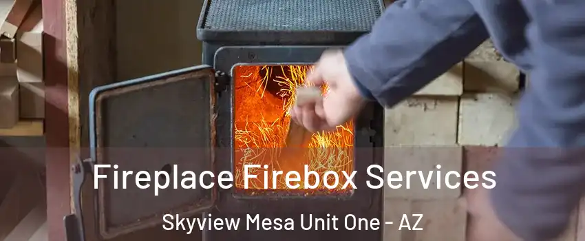 Fireplace Firebox Services Skyview Mesa Unit One - AZ