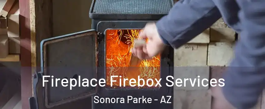Fireplace Firebox Services Sonora Parke - AZ