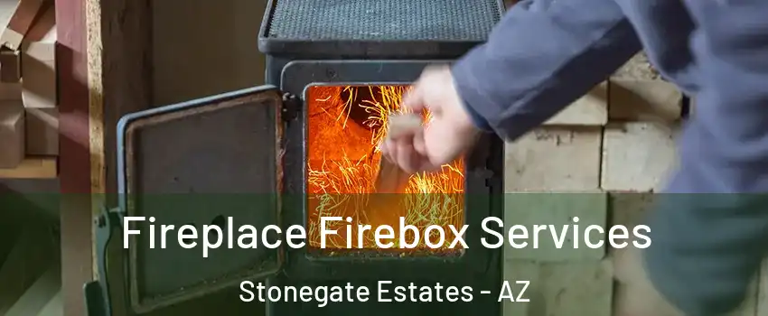 Fireplace Firebox Services Stonegate Estates - AZ
