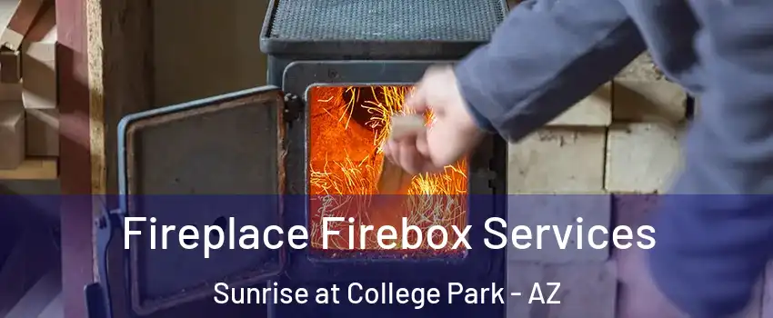 Fireplace Firebox Services Sunrise at College Park - AZ