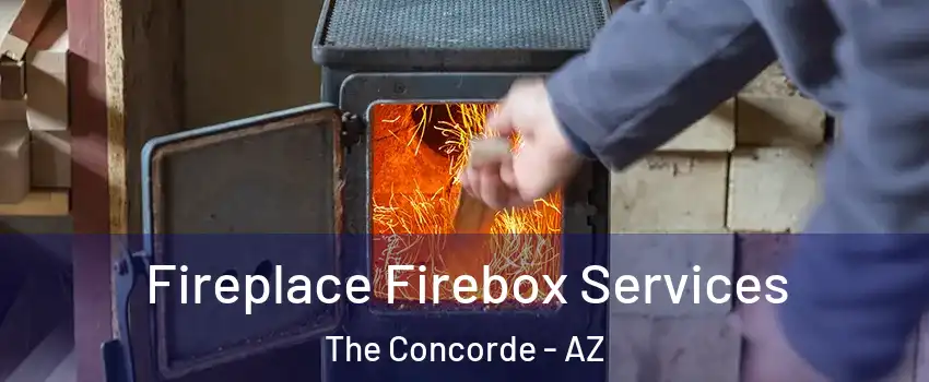 Fireplace Firebox Services The Concorde - AZ