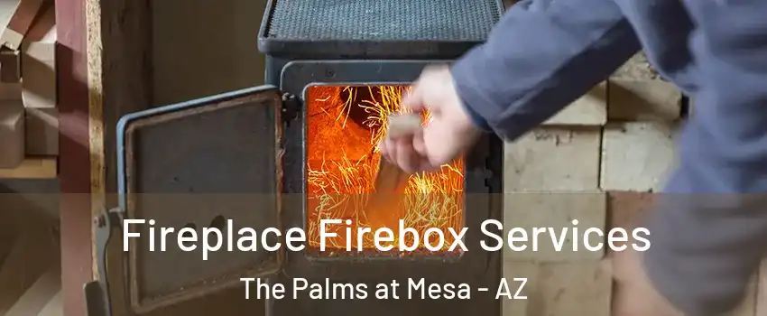 Fireplace Firebox Services The Palms at Mesa - AZ