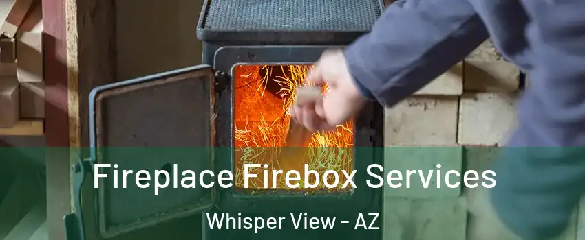 Fireplace Firebox Services Whisper View - AZ