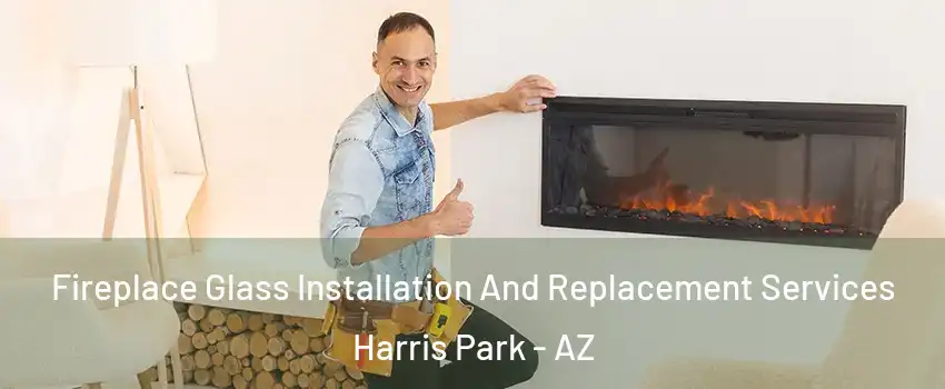 Fireplace Glass Installation And Replacement Services Harris Park - AZ