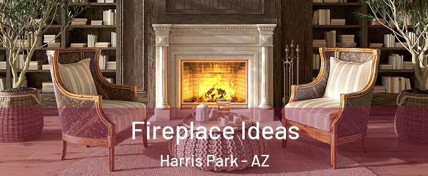 Fireplace Ideas Harris Park - AZ