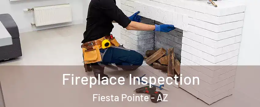 Fireplace Inspection Fiesta Pointe - AZ