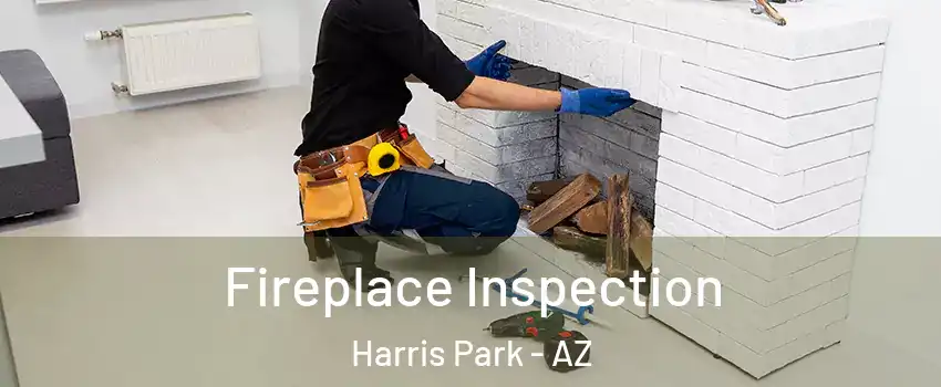 Fireplace Inspection Harris Park - AZ