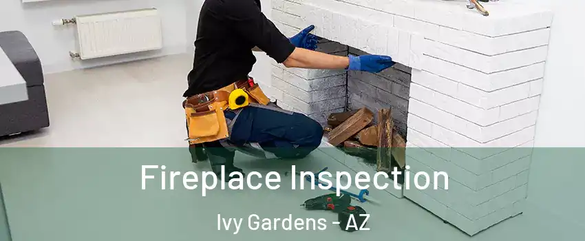 Fireplace Inspection Ivy Gardens - AZ