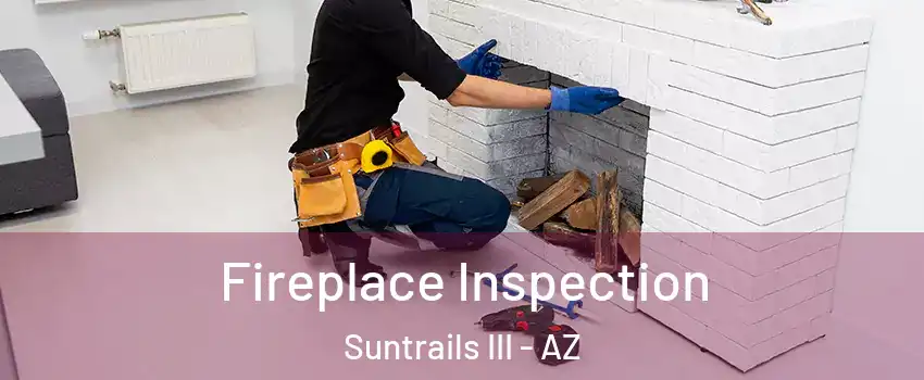 Fireplace Inspection Suntrails III - AZ