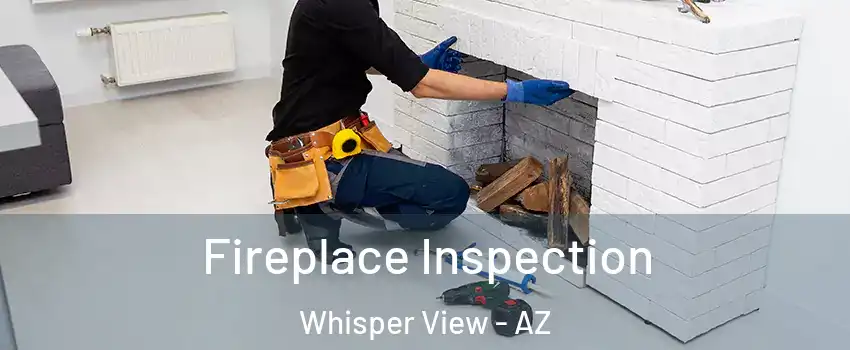 Fireplace Inspection Whisper View - AZ