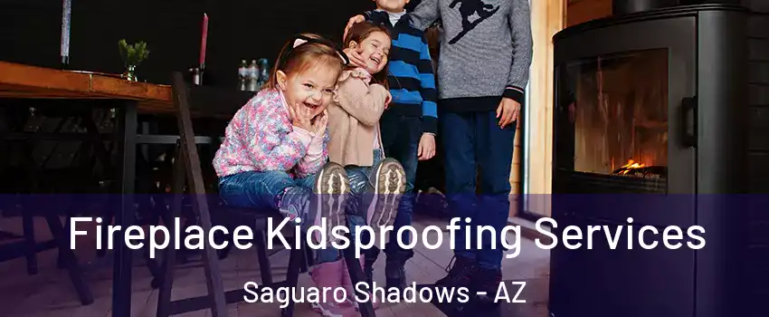 Fireplace Kidsproofing Services Saguaro Shadows - AZ