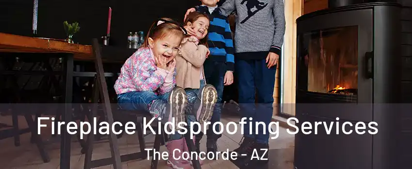 Fireplace Kidsproofing Services The Concorde - AZ