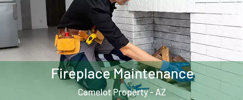 Fireplace Maintenance Camelot Property - AZ