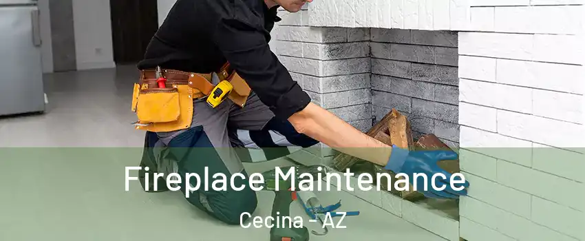 Fireplace Maintenance Cecina - AZ