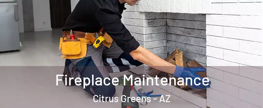 Fireplace Maintenance Citrus Greens - AZ