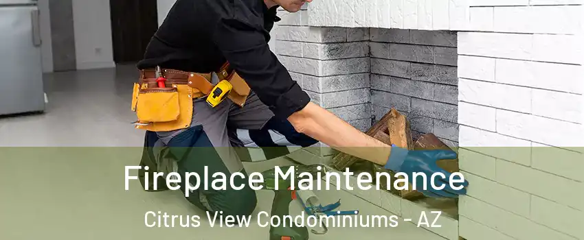 Fireplace Maintenance Citrus View Condominiums - AZ