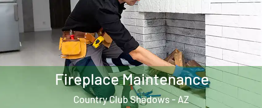 Fireplace Maintenance Country Club Shadows - AZ