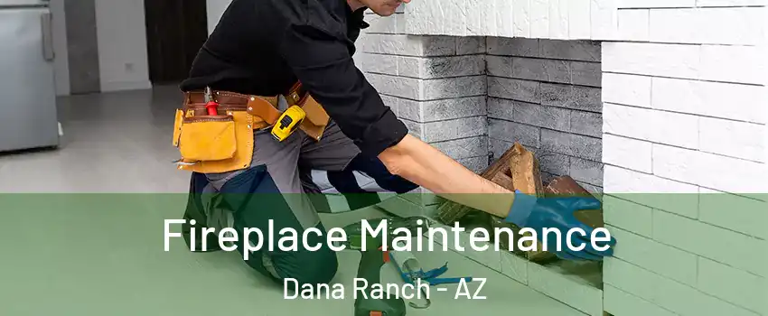 Fireplace Maintenance Dana Ranch - AZ