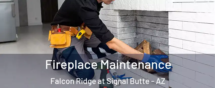 Fireplace Maintenance Falcon Ridge at Signal Butte - AZ