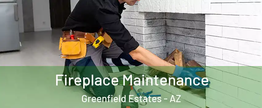 Fireplace Maintenance Greenfield Estates - AZ