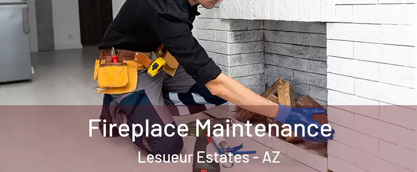 Fireplace Maintenance Lesueur Estates - AZ