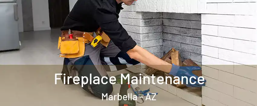 Fireplace Maintenance Marbella - AZ