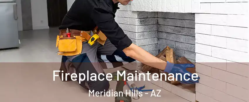 Fireplace Maintenance Meridian Hills - AZ