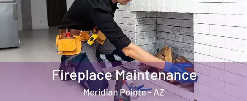 Fireplace Maintenance Meridian Pointe - AZ