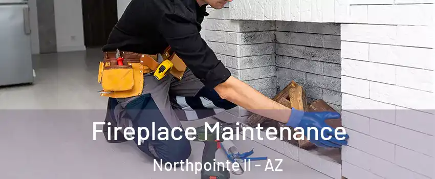 Fireplace Maintenance Northpointe II - AZ