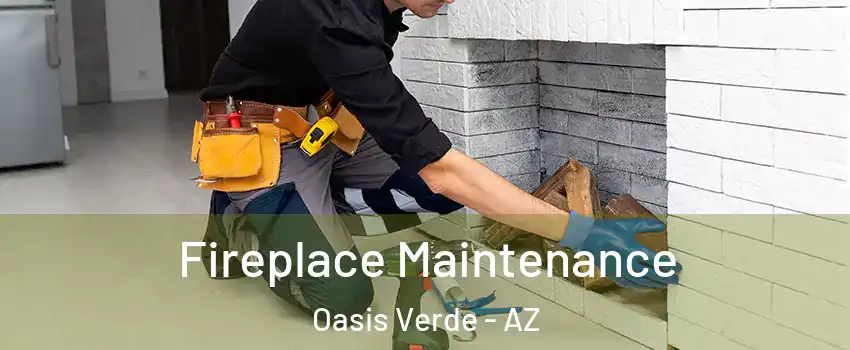Fireplace Maintenance Oasis Verde - AZ
