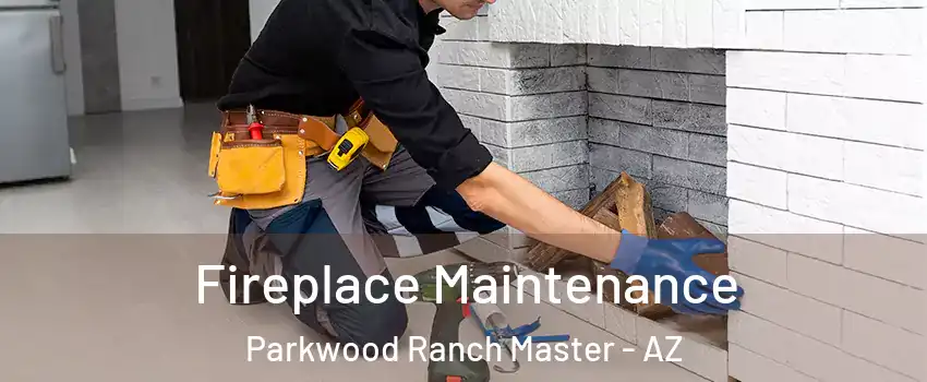 Fireplace Maintenance Parkwood Ranch Master - AZ