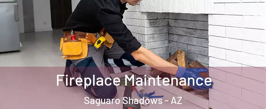 Fireplace Maintenance Saguaro Shadows - AZ