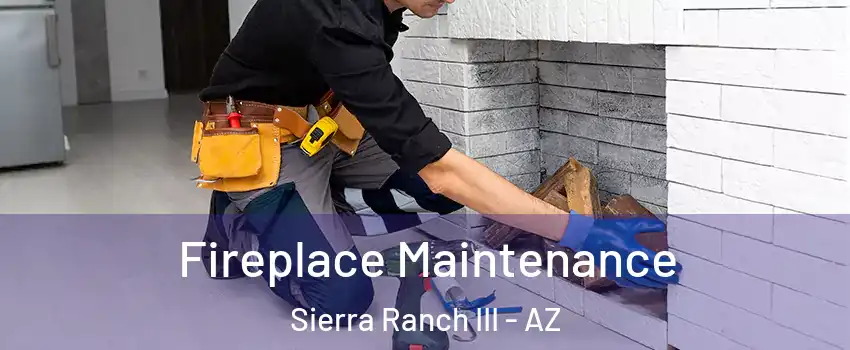 Fireplace Maintenance Sierra Ranch III - AZ