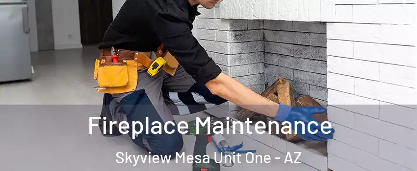 Fireplace Maintenance Skyview Mesa Unit One - AZ