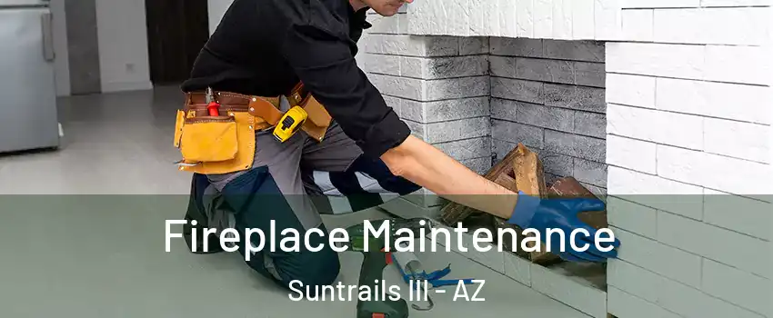 Fireplace Maintenance Suntrails III - AZ