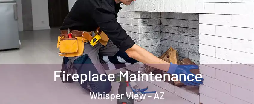 Fireplace Maintenance Whisper View - AZ