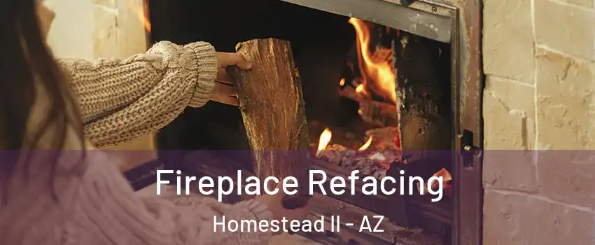 Fireplace Refacing Homestead II - AZ