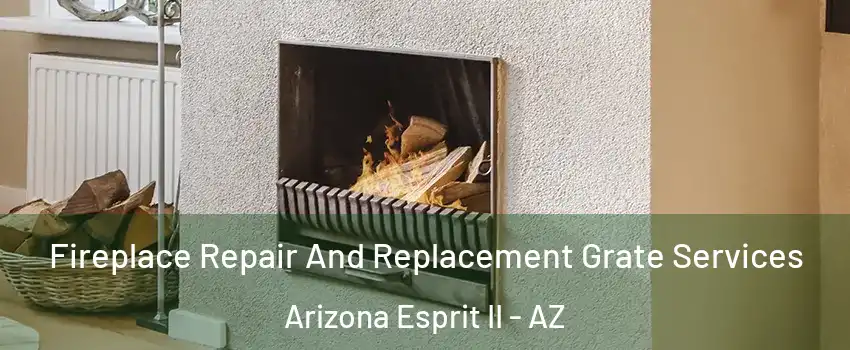 Fireplace Repair And Replacement Grate Services Arizona Esprit II - AZ