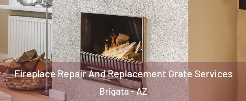 Fireplace Repair And Replacement Grate Services Brigata - AZ
