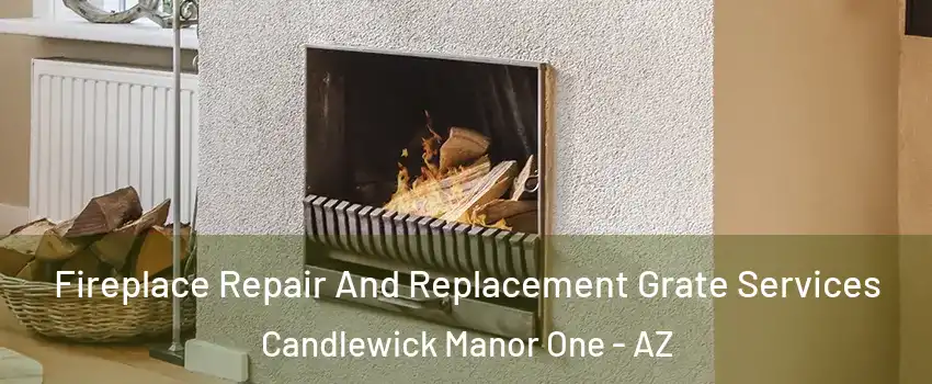 Fireplace Repair And Replacement Grate Services Candlewick Manor One - AZ
