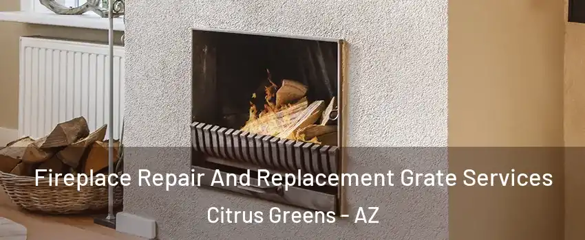 Fireplace Repair And Replacement Grate Services Citrus Greens - AZ