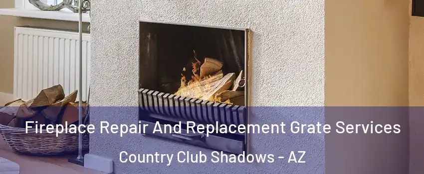 Fireplace Repair And Replacement Grate Services Country Club Shadows - AZ