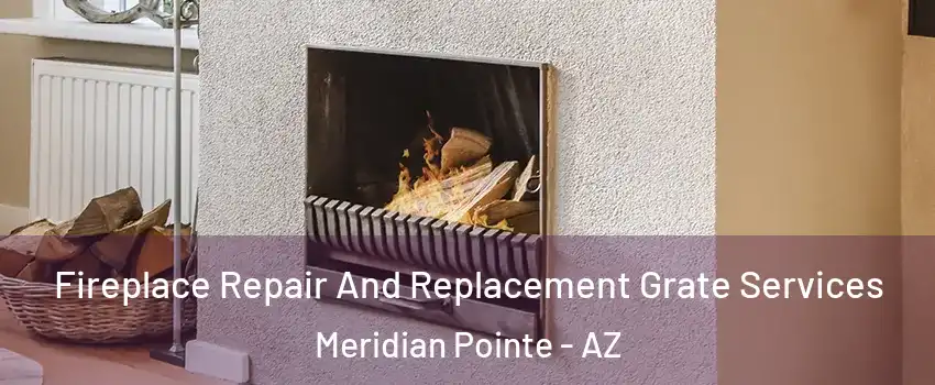 Fireplace Repair And Replacement Grate Services Meridian Pointe - AZ