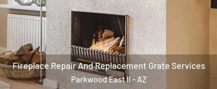 Fireplace Repair And Replacement Grate Services Parkwood East II - AZ